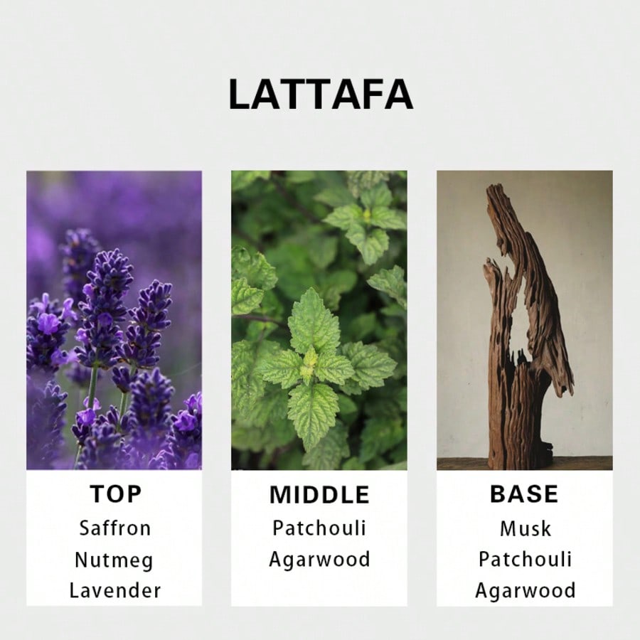 Lattafa Badee Al Oud For Glory – обзор и цена Perfume The Fragrance