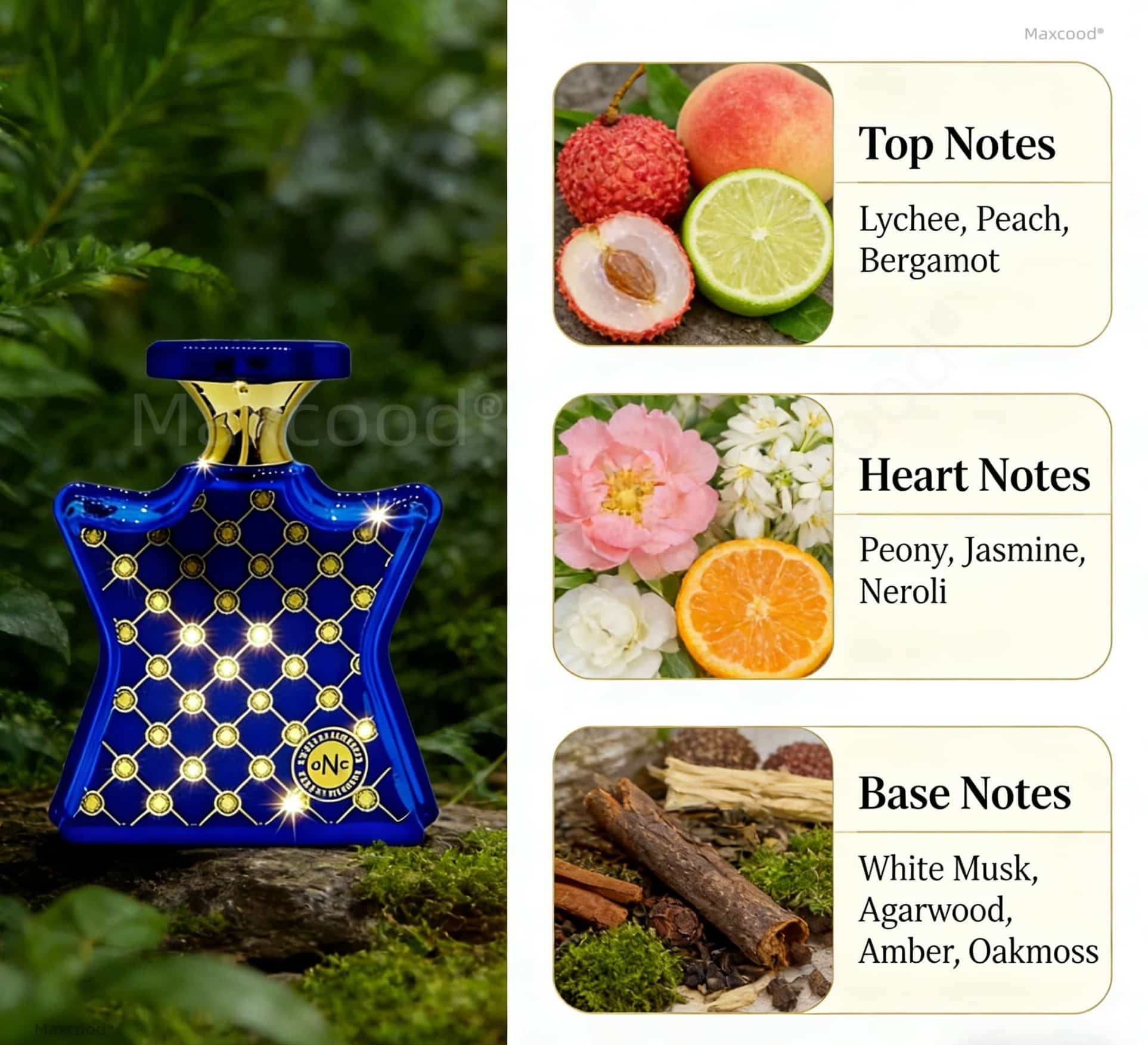 Цитрусовый и цветочный парфюм, – обзор и цена Perfume Luxury Fragrance