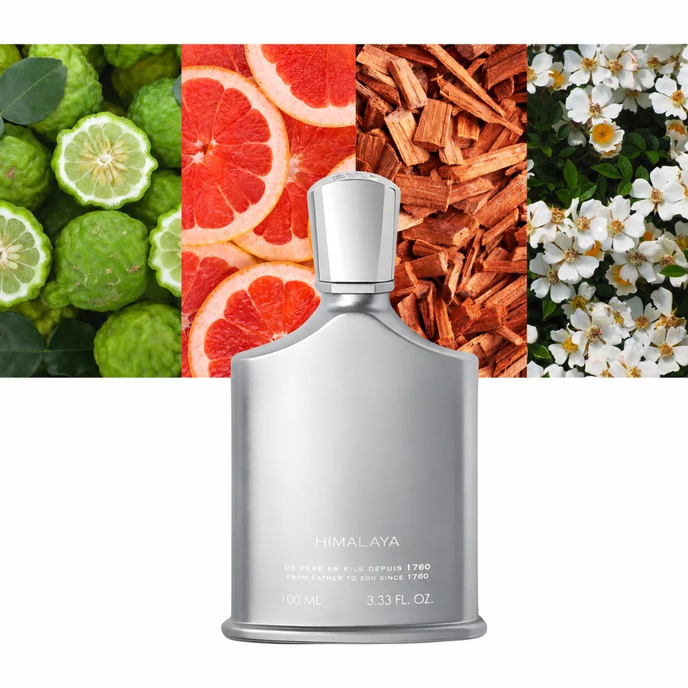 Духи Aventus для мужчин, 100 м – обзор и цена Perfume Luxury Fragrance